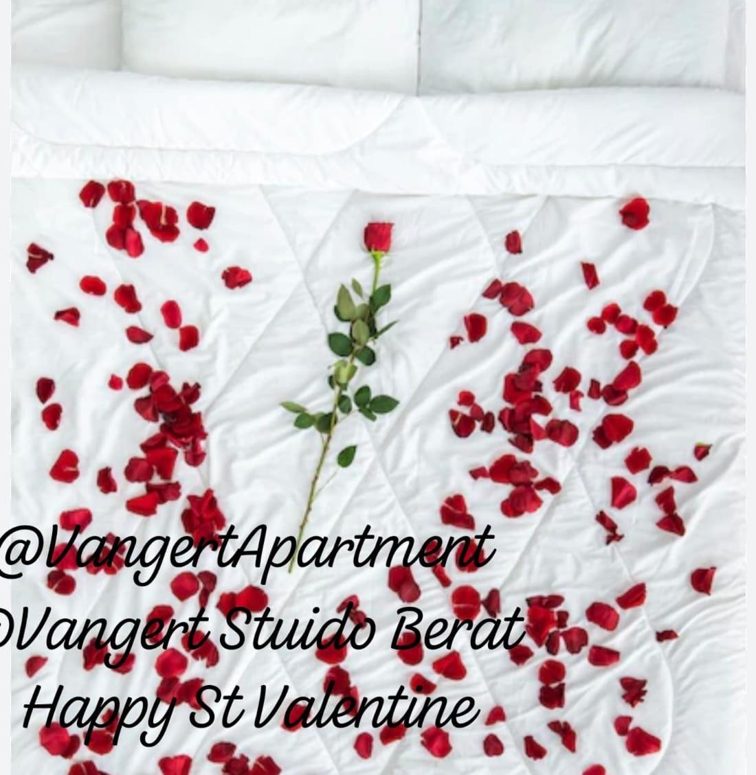 Vangert Apartment Berat Chambre photo